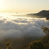 Camping in Eungella